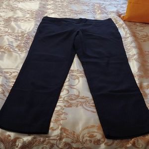 Women's Briggs Petite Jeggings